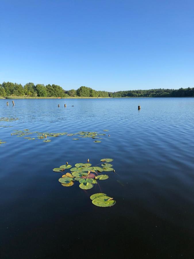 5 Sterne-Ferienhaus Eisvogel Am See Mit Sauna Und Kamin 克拉科夫西 外观 照片
